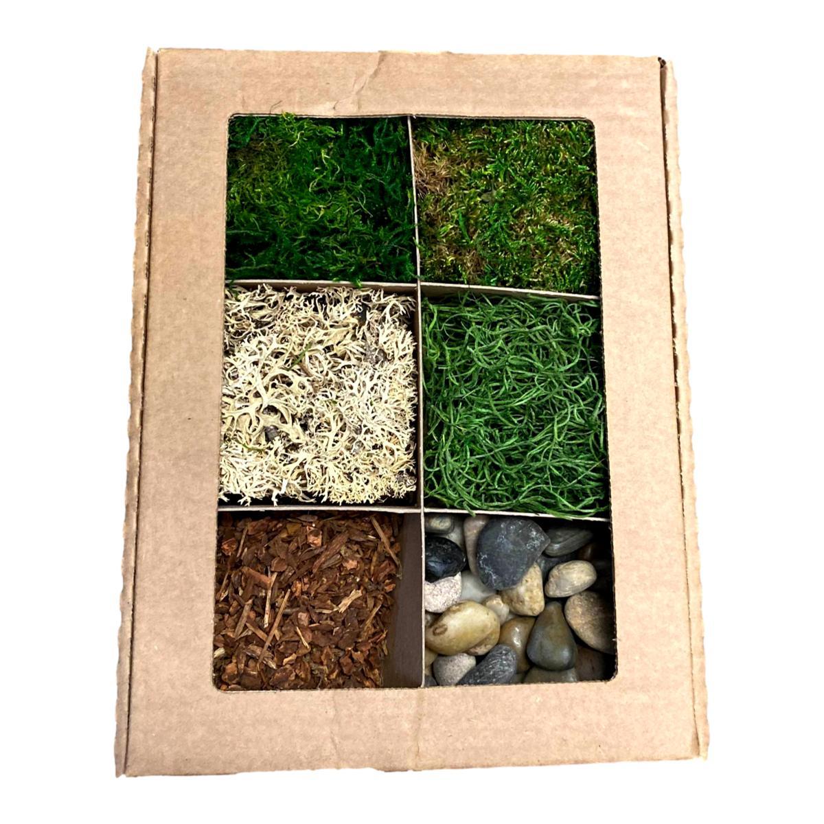 Forest Terrarium Kit